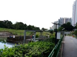 Blk 684B Choa Chu Kang Crescent (Choa Chu Kang), HDB 5 Rooms #532089991